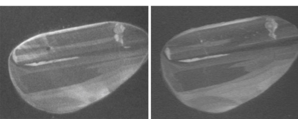 Zircon grains imaged using the Hitachi TM4000Plus (left) and pan-chromatic CL detector in conventional SEM (right).