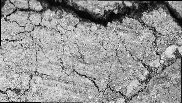 SEM panorama image of microfractures in the graphite layer of a degraded gray cast iron test sample.
