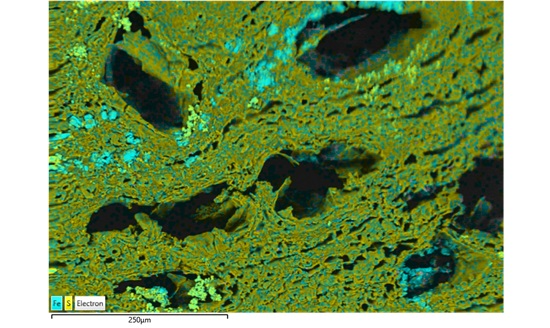Layered elemental map of a Princess Carolina timber sample showing the presence of iron (teal) and sulfur (yellow) throughout the cellular structure
