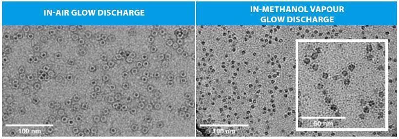 TEM images (Tencai F20 G2) of ferritin protein complex from horse spleen (Sigma Aldrich) applied to in-air and in-methanol vapour glow discharged carbon support TEM grids.