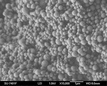 Scanning Electron Microscopy image of a typical mesoporous silica material.