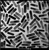TEM image of typical gold nanorods.