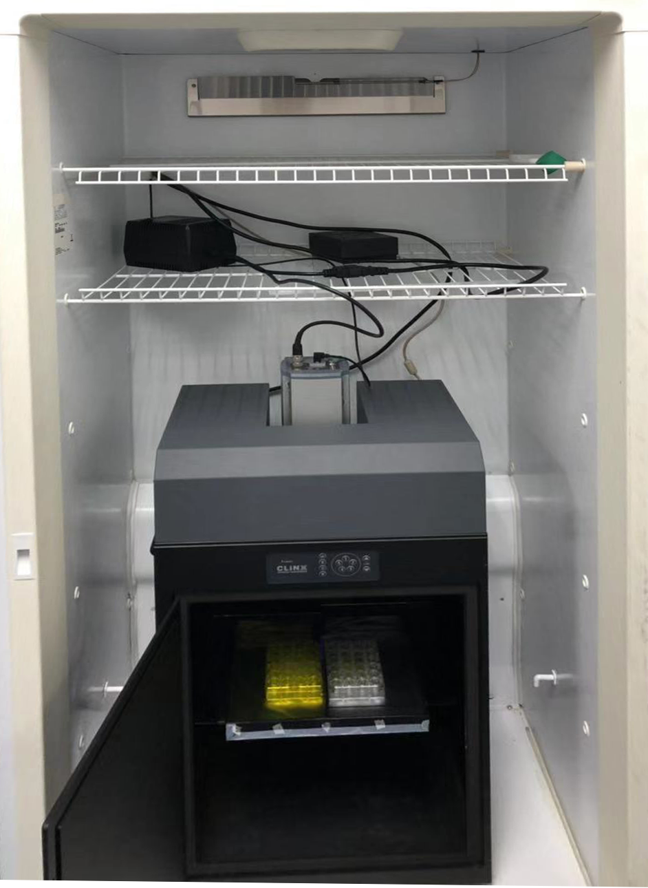 The iKon-M deep cooled CCD camera is widely used for luminescence imaging. In this example within a temperature-controlled light sealed chamber for plant imaging. Many other set-ups using high throughput plate format or microfluidic systems are also in use.