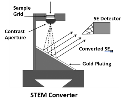 STEM-in-SEM: Scanning Transmission Electron Microscopy in an SEM