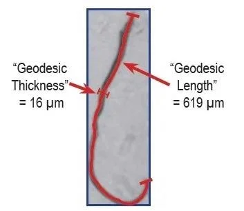 Geodesic Length and Thickness calculated by VisualSpreadsheet. Note the differences versus Figure 3.