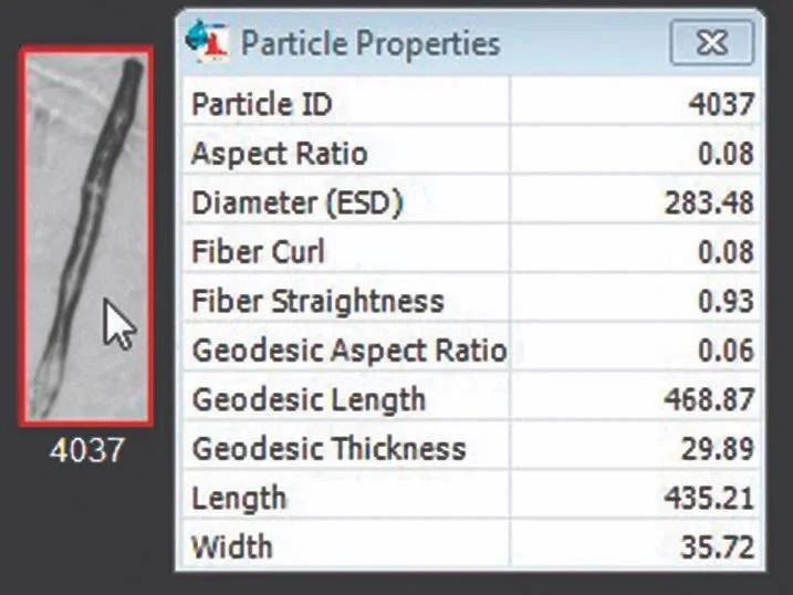 Straight fiber particle image with length and width measured using the Feret method and Geodesic method.