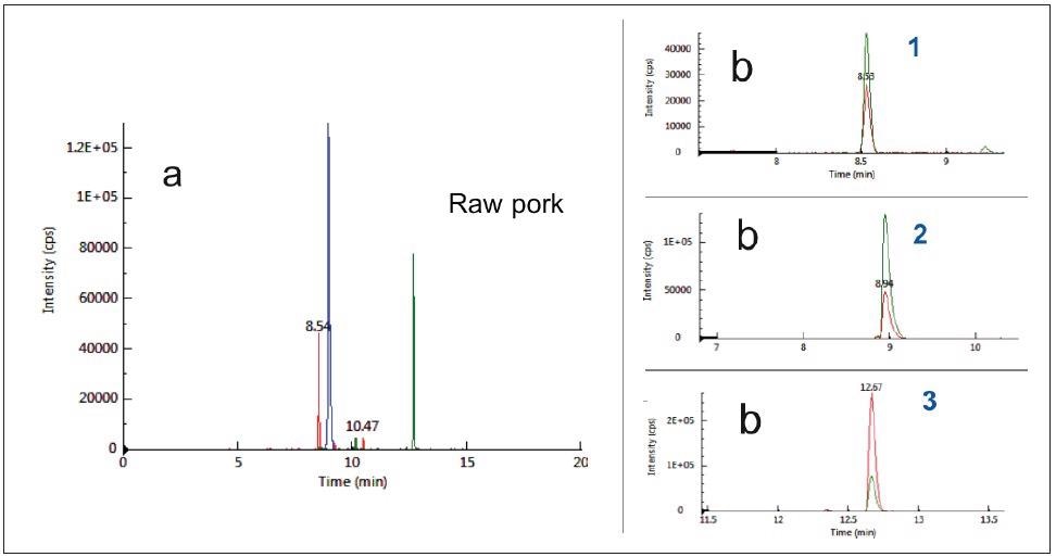 Typical chromatograms of raw pork as acquired by MRM mode: (a) Total ion chromatograms (b) Extract ion chromatograms. Notes: 1:Pork_Peptide_1, Rt 8.5 min; 2:Pork_Peptide_2, Rt 8.9 min; 3:Pork_Peptide_3 , Rt 12.7min.