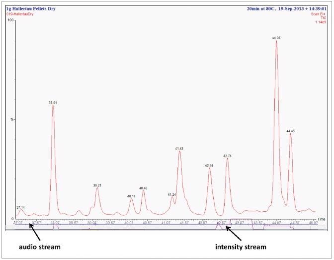 Example of a hop chromatogram being reviewed within the TurboMass™ software with the audio narration and aroma intensity graphically overlaid.