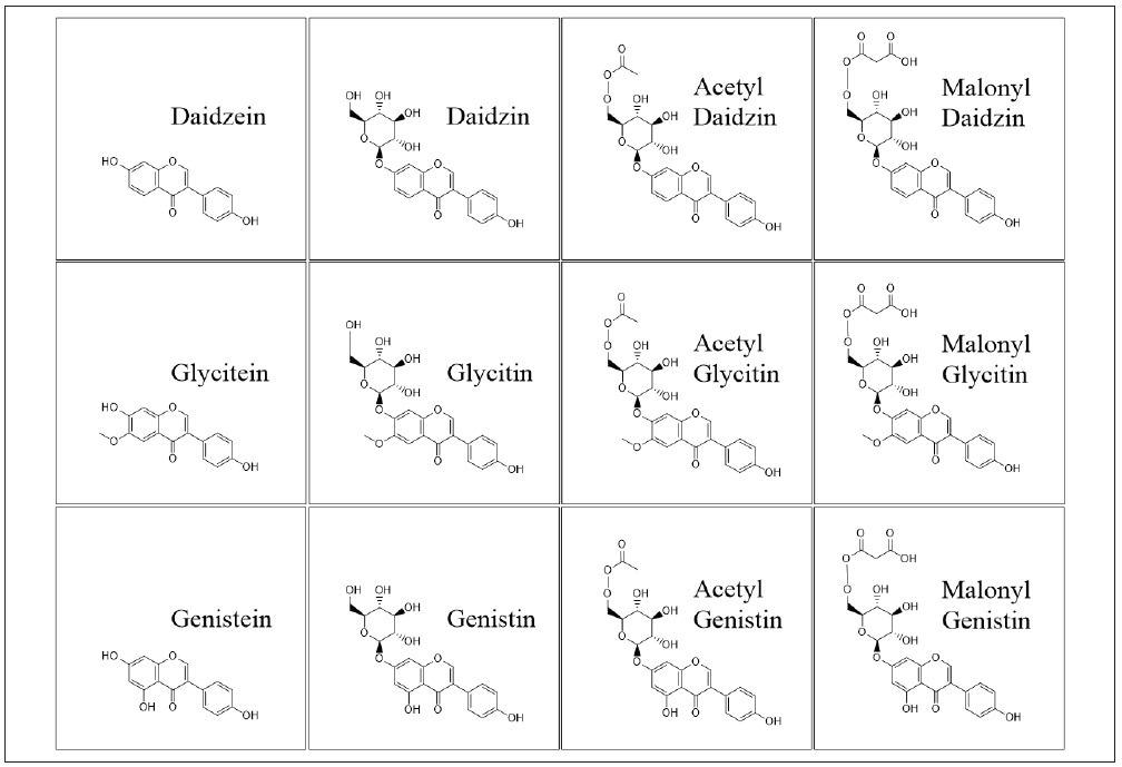 Chemical structures of the isoflavones analyzed in this study.