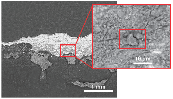 Low-magnification view (left) of the sample surface and a higher magnification of the area of interest (right). (Acc voltage 12 keV, beam current 0.85 nA).
