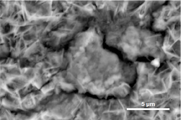ChemiSEM images of the foreign particle. From top to bottom: backscattered electron image, calcium, fluorine, and silicon distribution. (Acc voltage 15 keV, beam current 0.85 nA, acquisition time 60 s).