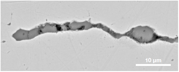 ChemiSEM images of one of the sub-surface inclusions. From top left: backscattered electron image, calcium, fluorine, and silicon maps showing their distribution within the inclusions (Acc voltage 15 keV, beam current 0.44 nA).