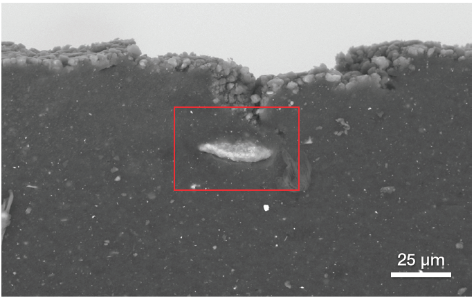 Backscattered electron image showing the position of another type of filler.