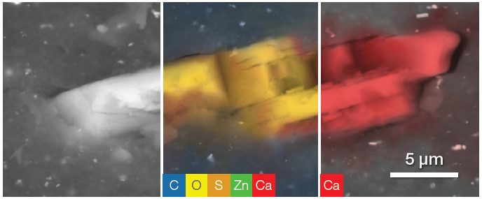 Layered filler. From left, backscattered electron image, ChemiSEM image with all the present elements selected, quantitative elemental image showing Ca distribution over the particle. Acc voltage 20 keV, beam current 0.48 nA, acquisition time 40 s.