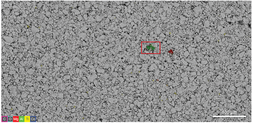 Large-scale navigation montage image obtained by collecting neighboring frames to generate a low magnification image for point-and-click navigation. 750 µm x 370 µm. Acquisition parameters: acc voltage 20 keV, beam current 0.13 uA.