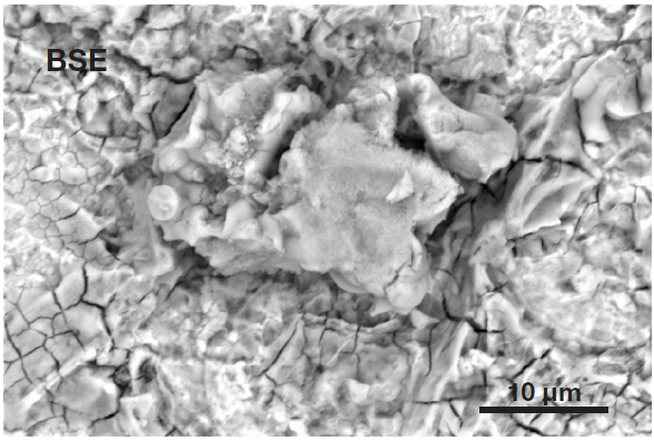 Secondary electron image (top) acquired inside the defective area. It shows the presence of a particle, higher than the surrounding surface, confirming it can be identified as a foreign object. Backscattered electron image (bottom) shows the compositional contrast (Acc voltage 15 keV, beam current 0.44 nA).