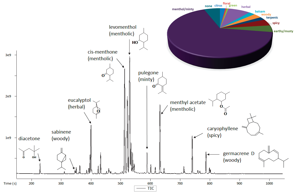 TIC Chromatogram for mint essential oil. Representative analytes of interest are shown along with a summary of the sample