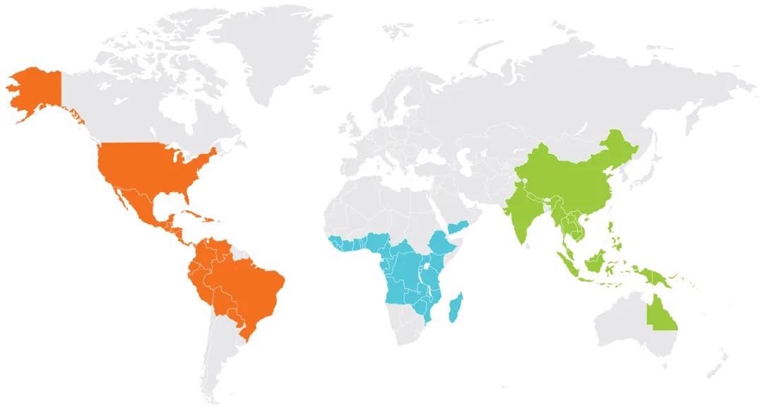 Map showing the different coffee-producing countries around the world.