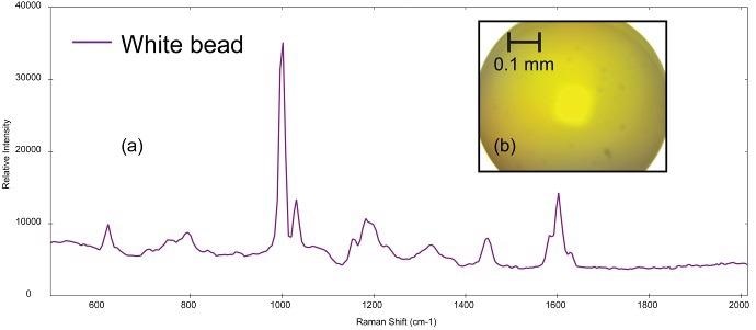 (a)Raman spectrum of polystyrene collected  from (b) polystyrene bead (image not true color)