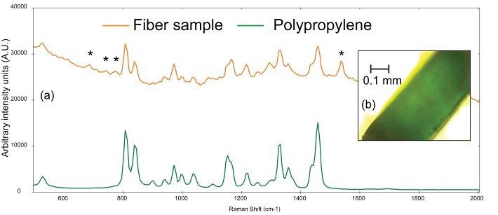 (a) Raman spectra of a teal fiber (orange) compared to a reference spectrum of polystyrene (green) and (b) photomicrograph of teal fiber. The asterisks denote peaks that can be attributed to the colorant used in the plastic