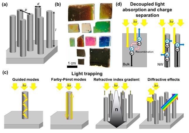 Optoelectronic properties of SiNW arrays. (a) Scheme showing the geometrical parameters that can be easily adjusted during the synthesis of SiNW arrays: wire diameter (d), length (l), and array pitch (p). (b) Photographs of various SiNW arrays synthesized in our laboratories showing colors that cover the whole visible spectrum, including black silicon surfaces that significantly trap the incident light. (c, d) Schematic illustration of (c) various light trapping effects that can lead to enhanced absorption, reduced reflection, and diffraction; and (d) decoupled light absorption from the charge separation process that can lead to reduced charge recombination.