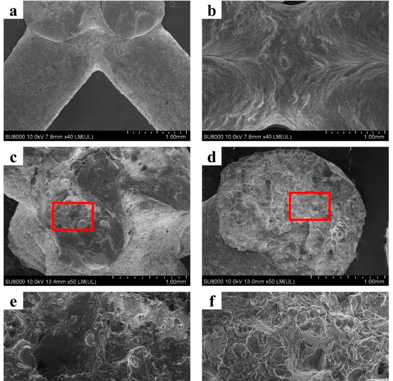The strut surface morphology of (a) AM AlSi10Mg and (b) as-cast 7005 Al alloy lattice structures; (c,d) are the morphology of fracture surface of AM AlSi10Mg and as-cast 7005 Al alloy lattice structures; (e,f) magnified microstructures in the red frames of (c,d).