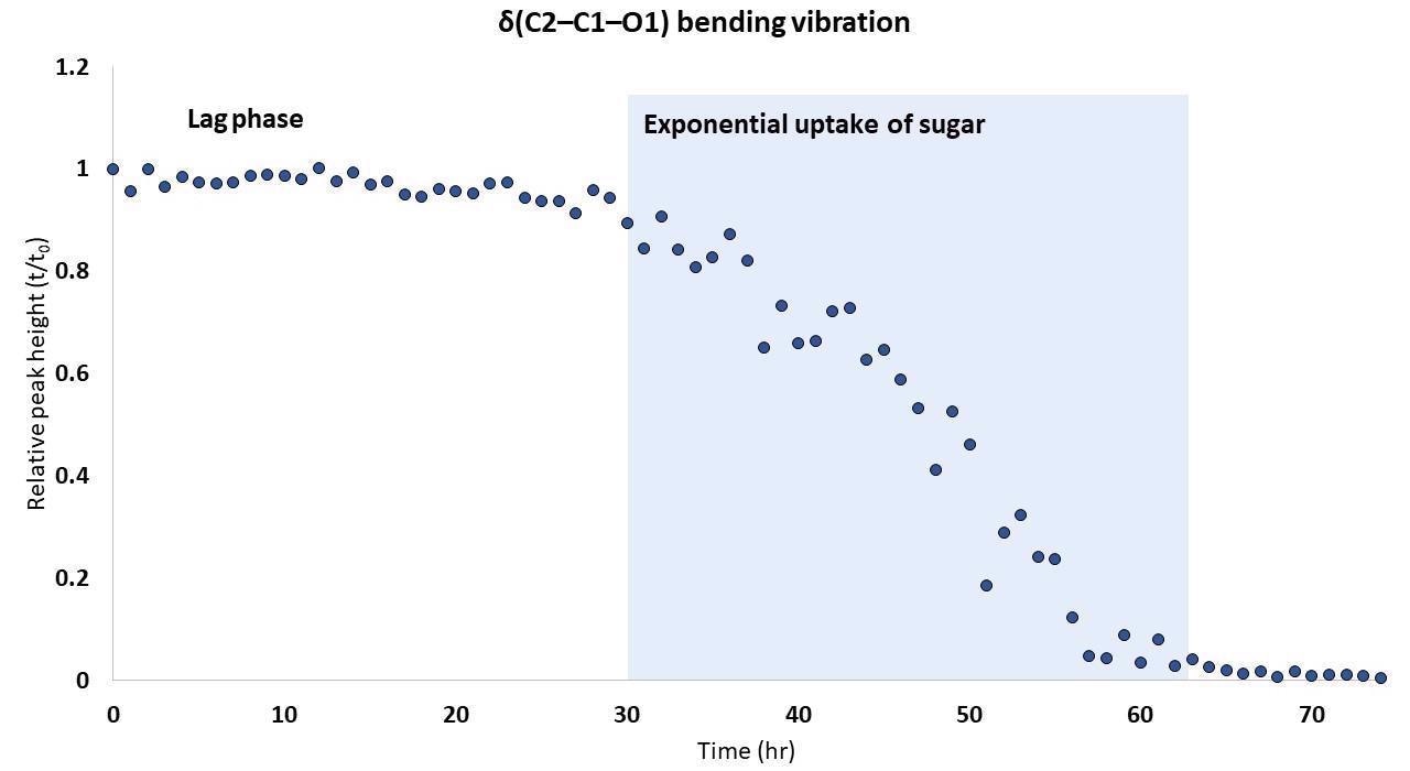 Relative Raman peak height of d(C2–C1–O1) bending vibration (415 cm-1) of Kombucha broth7 (a), and math-treated Raman spectra of the exponential sugar uptake phase (growth phase)