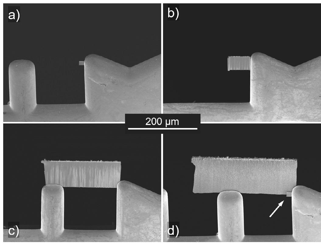 a) SEM image of a standard FIB lamella after in situ lift-out. b) to d) SEM images of laser prepared lamellas of increasing size after in situ lift-out. The lamella in d) was attached to the same grid as the lamella in a), which is highlighted by the arrow.