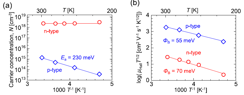 (a) Temperature dependence of carrier concentration and (b) µHallT1/2 of SnS thin films deposited at Tsub = 333 °C. The activation energy (Ea) and grain boundary potential barriers (FB) were estimated according to the following formulas: N = N0exp(–Ea/kT), where N0 is a prefactor and k is the Boltzmann constant, and µHall = Le(1/2pm*kT )1/2exp(–FB/kT), where L is the grain size, e is elementary charge, and m* is the effective mass. The solid lines were added to guide the eye.