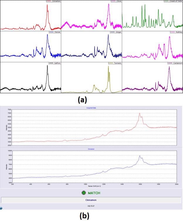 Raman Spectra of nine different spices collected using portable Raman system with 1064-nm laser (a) and identification of Raman spectrum of a cinnamon sample using the spice library of BWID created using the Raman spectra of spice samples.