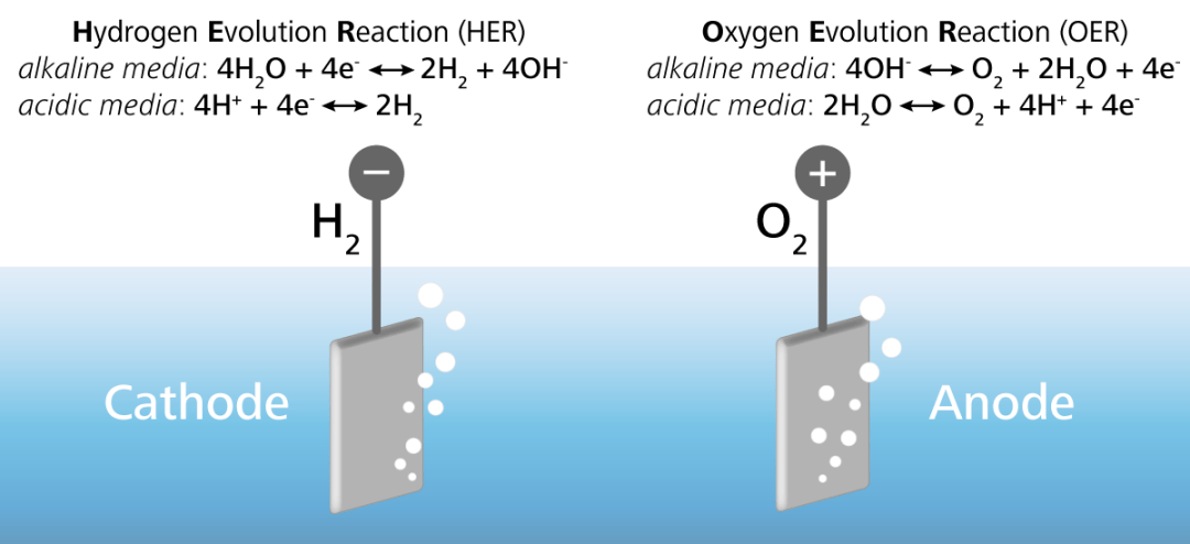 Diagram of the electrolysis of water (water splitting) with respective half reactions at the cathode and anode in alkaline and acidic media.