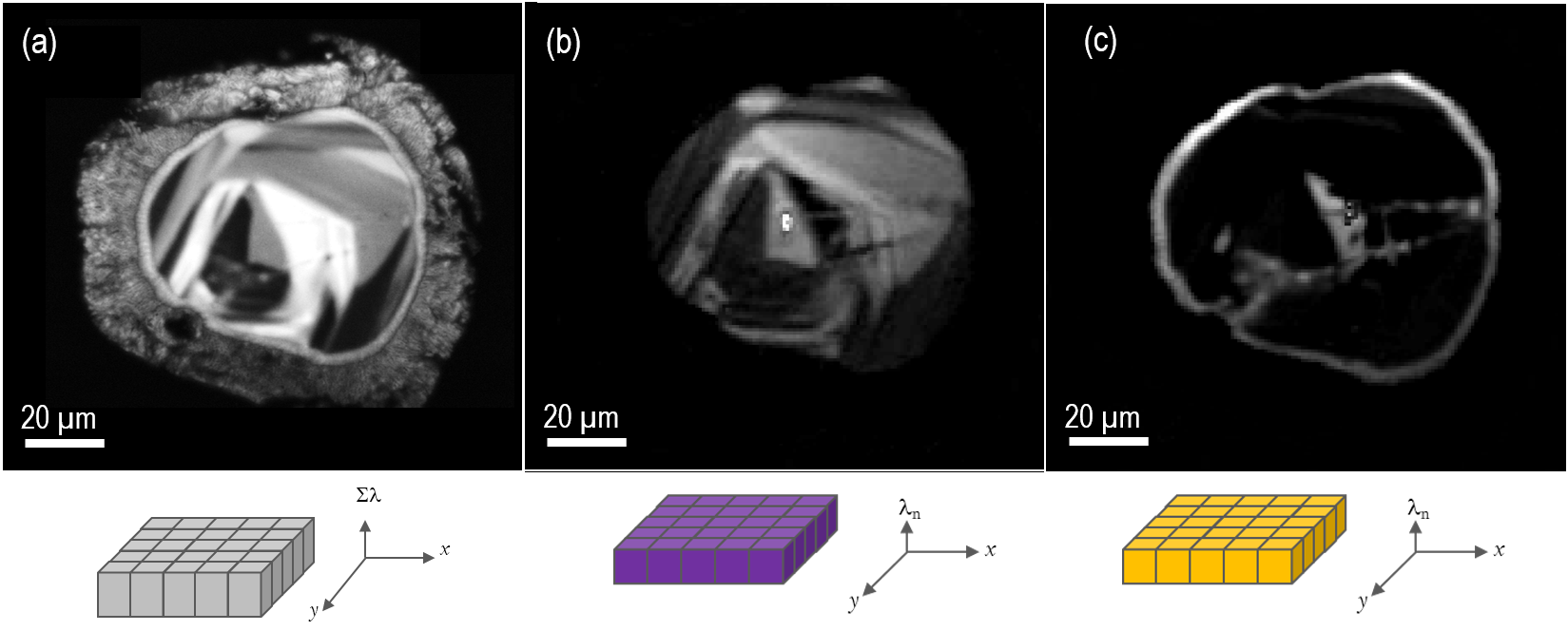 CL images of the same zircon as shown in Figure 2. Image a) unfiltered CL image revealing internal texture, b) and c) wavelength-filtered CL images at 404 and 575 nm respectively corresponding to Er3+ and Dy3+ trace rare-earth ions; the wavelength-filtered images have been processed by removal of the ZrSiO4 background signal at 650 nm. The Er3+ and Dy3+ concentrations were in the range 10 – 300 ppm, as determined by microanalysis in the electron probe microanalyzer. Schematic representations of the acquisition modes used are displayed immediately below the respective CL image.