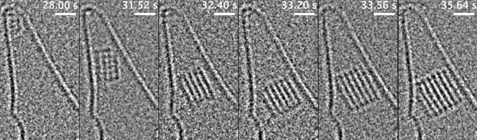 Six frames from a 132 s video, showing nucleation and growth of a single NaCl nanocrystal. The full video which covers the nucleation and growth of 9 crystals can be found on YouTube