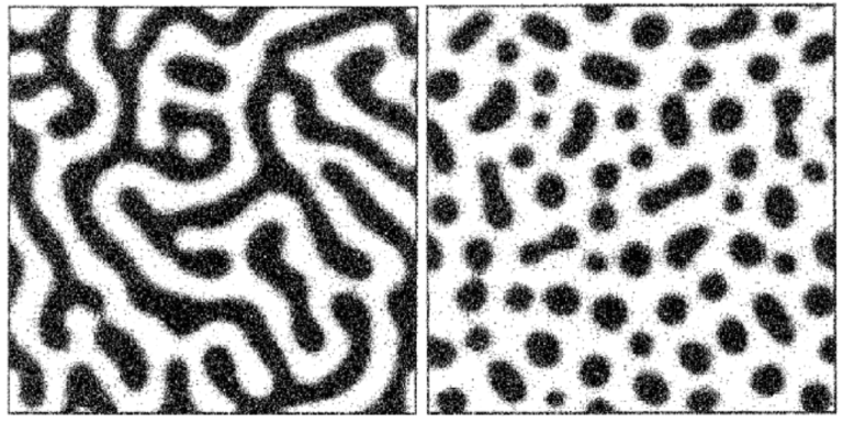 On the left, spinodal decomposition produces “tendrils” of different phases. On the right, nucleation produces droplets of the darker phase within the lighter phase. (Gebauer et al., 2014)4