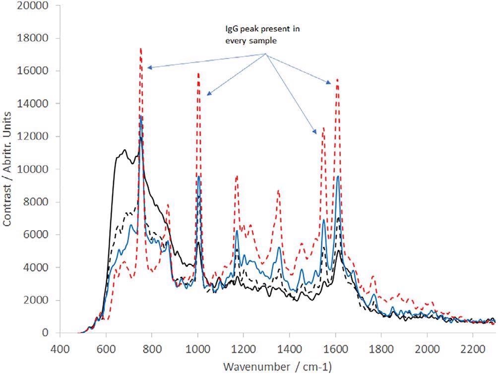 Raman spectra of IgG at a range of concentrations as labelled (all spectra presented are the averaged output of 10 30 s frames); solid black line = 0.1 mg/mL, dotted black line = 0.4 mg/ml, blue line = 0.8117 mg/mL, dotted red line = 2.0173 mg/mL. IgG, immunoglobulin G.