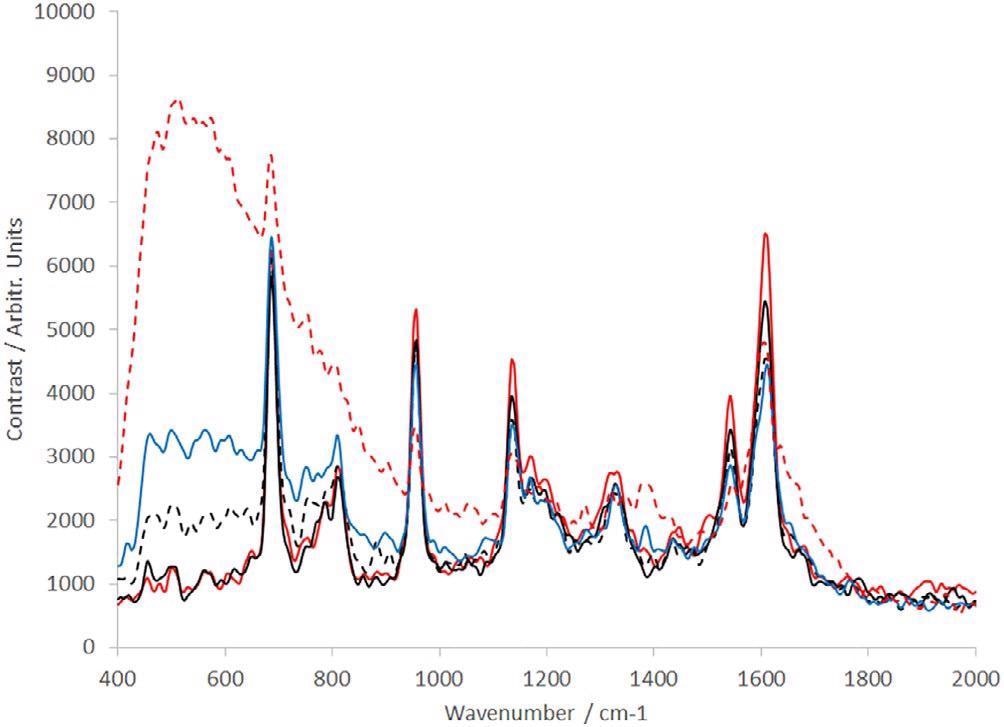 Raman spectra of dAb (sample provided by the TESTA Center, Cytiva Life Sciences) of different concentration levels: dotted red line = 0.1 mg/mL, solid blue line = 0.5 mg/mL, dotted black line = 1 mg/mL, solid black line = 5 mg/mL, and solid red line = 10 mg/mL. dAb, domain antibody.