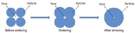 Mechanism of sintering.