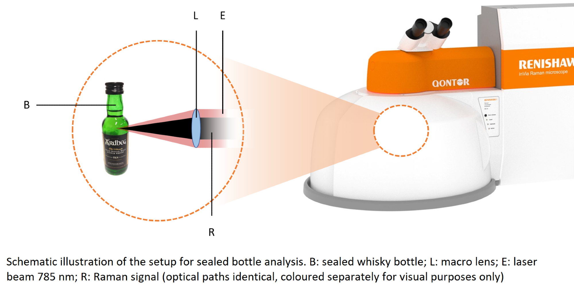 Using Raman Spectroscopy to Classify Whiskies
