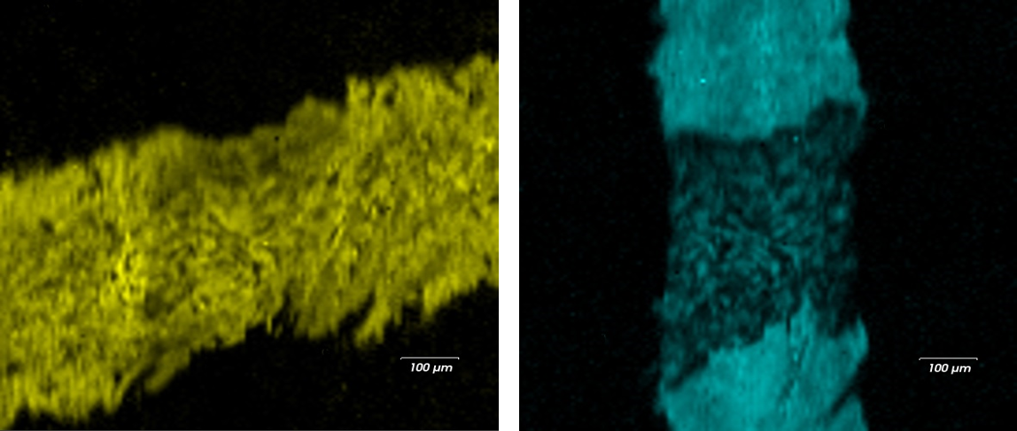 False colour Raman images of the two different pen strokes. These images demonstrate the chemical specificity of Raman spectroscopy, ink species are identified and relative concentrations of each ink can be determined.