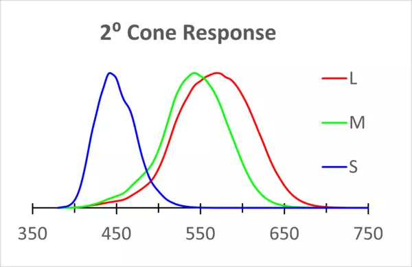 Spectral response of human vision within the fovea region (the central 2° of our field of view where our eyes have the highest density of cones). The graph is a rough illustration of the normalized response of the cones; i.e., how powerful we perceive each wavelength to be. The peak of each curve is where our perception of that color is strongest.