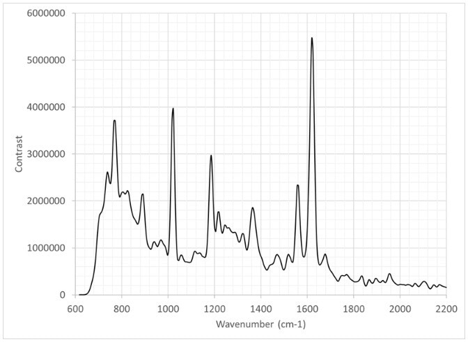 Characterizing Equine Synovial Fluids with Deep UV Raman Spectroscopy