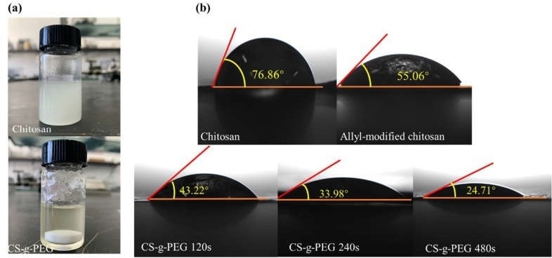 (a) Photographs of chitosan and CS-g-PEG dissolved in DMSO. (b) Contact angle measurements between liquid electrolyte and chitosan, allyl-chitosan and CS-g-PEG 120, 240 and 480 films.