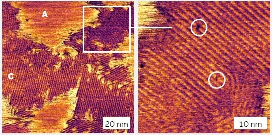 AFM images of polythiophene (ADS306PT) morphology reveal (left) crystalline (C) and amorphous (A) domains and (right) the regular chain structure of a crystalline region containing a few defects (circled). Images represent tapping-mode phase and were acquired on the Jupiter XR AFM in ambient conditions.