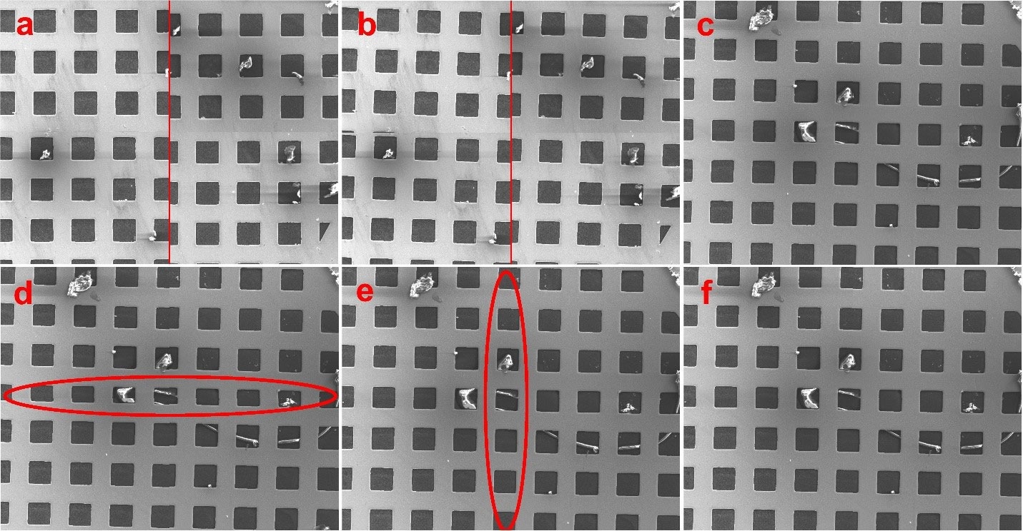 Montage image alignment. The scan rotation angles in a, b, and c are 3º, 1º, and 1.6º, respectively. 1.6º represents a good scan rotation calibration without a mismatch in the figure. d) The stage movement is too far in the Y direction since the grids along the horizontal axis are heavily shrunk in the Y direction. e) After decreasing the reference height value, the stage moves exactly one field in the Y direction. The stage still moves a little far in the X direction as the horizontal side of the grids along the vertical axis is measured slightly shorter than the vertical side. f) Magnification reference adjustment is done after marginally decreasing the reference width value.