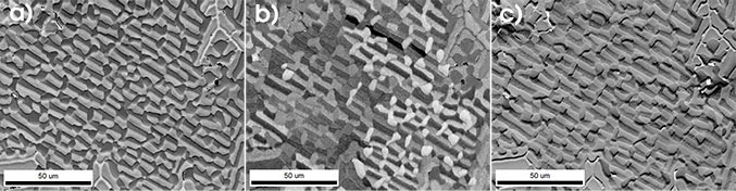 a) PRIAS top ROI image showing atomic number contrast, b) PRIAS middle ROI image showing orientation contrast, and c) PRIAS bottom ROI image showing topographic contrast for the directionally solidified Al-Cu-Mg alloy.