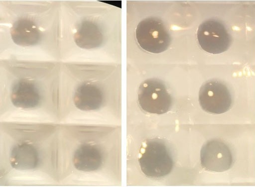 Hydrowells with and without cellular spheroids