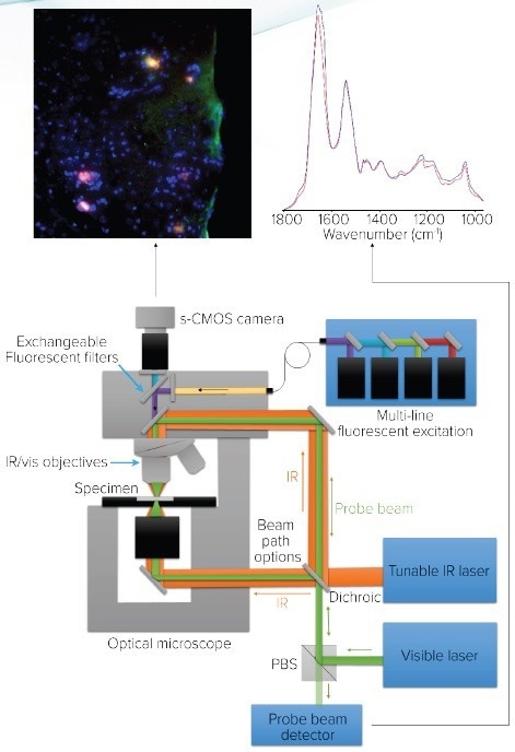 Microscope schematic for O-PTIR and co-located fluorescence microscopy.