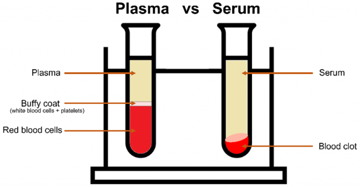 Plasma vs serum.