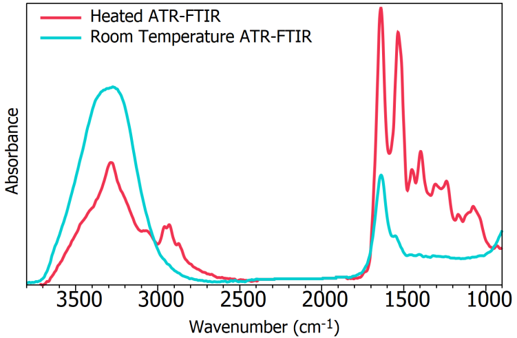ATR-FTIR spectra after 2 minutes drying time of Human serum albumin at room temperature (blue) and heated to 50 °C  (red).