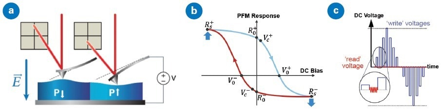 Piezoresponse Force Microscopy (PFM) basics: (a) an increasing electric field in parallel with the polarization of a piezoelectric sample will cause the sample to expand if the material has a positive electrostrictive coefficient, (b) a typical hysteresis loop describing the response and domain switching characteristics of a ferroelectric material, and (c) a series of read and write pulses applied during switching spectroscopy PFM (SS-PFM). The write segments use successively larger (or smaller) DC voltages to switch the polarity of the domain beneath the tip, while an AC voltage is applied during read segments allow observation of the polarization and response of the domain after switching.